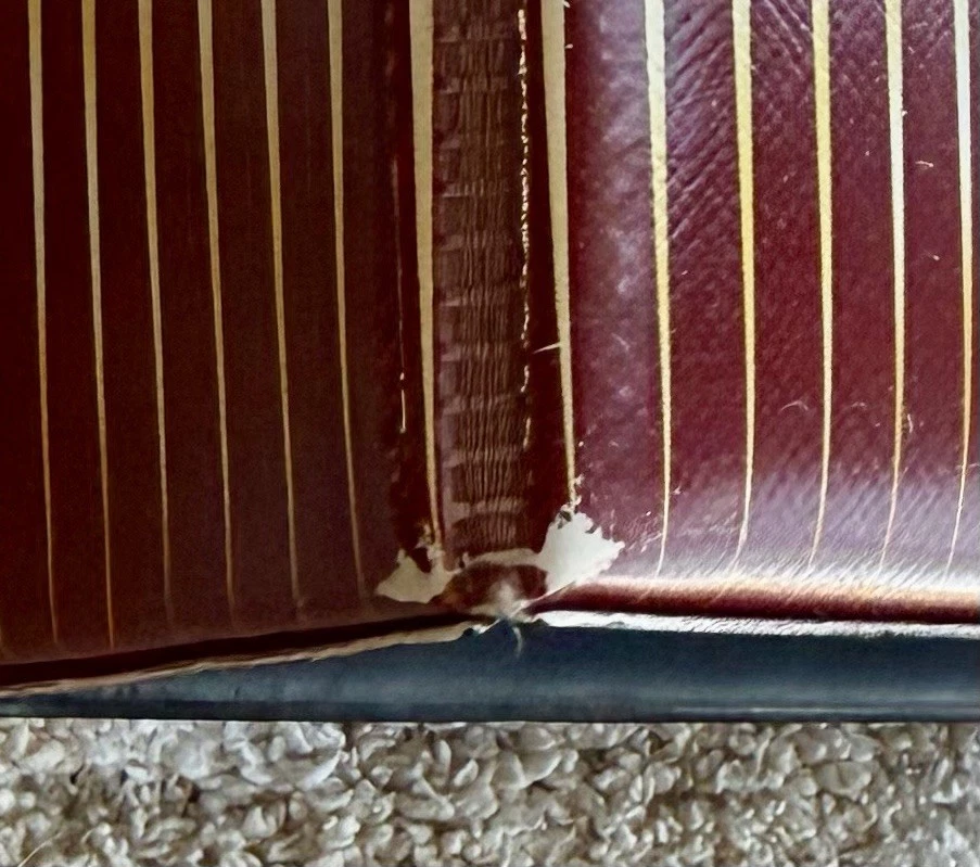 Carpeta Fleer Ultra X-men 95 rara Foto 4 de 4