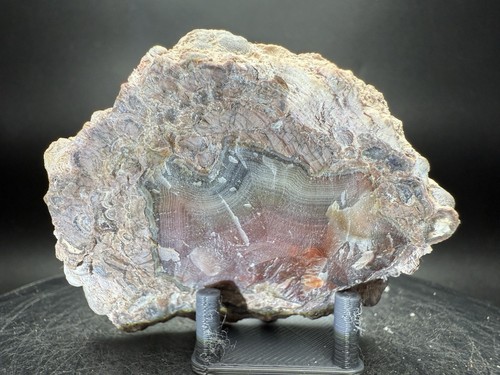 Baker Ranch Thunder Egg Polished Half Parallax Shadows GREEN Lindberg Claim - Bild 2 von 4