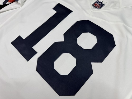 Large Caleb Williams #18 Vapor FUSE Jersey White Alternate Bears Authentic Patch - Picture 5 of 10