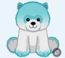 Webkinz Blue Avenue Pomeranian HM9143 turquoise teal dog puppy Virtual code msgd