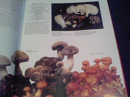 Southeast Asian Specialties a culinary journey through Singapore, Malaysia wb17 - Picture 7 of 11