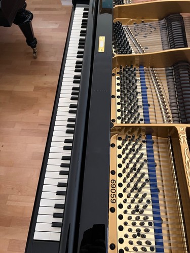 FANTASTISCHER BLÜTHNER Jubiläumsflügel Piano Flügel Grand Piano ZERTIFIZIERT - Bild 3 von 10