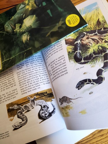 The How And Why Of Dinosaurs Reptiles Fish 1976 3 Vintage Science Books - Imagen 4 de 4