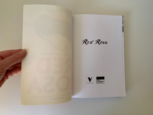 Red Rosa : A Graphic Biography of Rosa Luxemburg (PB 2015) Kate Evans Novel - Picture 5 of 16