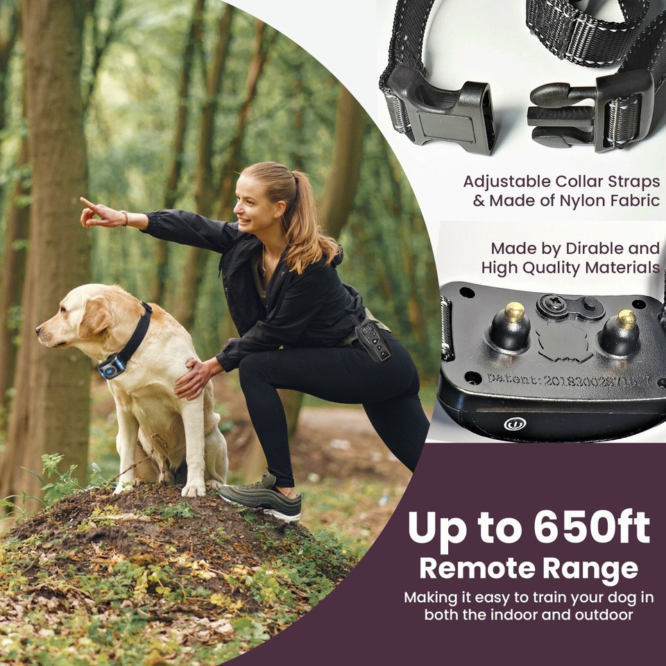 Positivo Costantemente Costruttore Collare Elettrico Per Cani Come Funziona Amaz - Foto 5