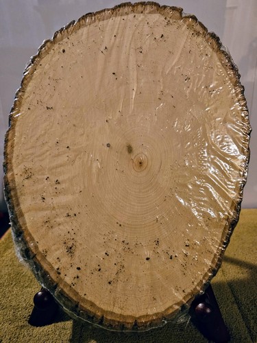 Piastra placca rotonda country legno basso cavo di noce 12"" x 9"" X7582 corteccia naturale - Foto 3 di 9