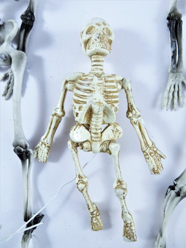 Decorative Halloween Skeletons 3 Small For Hanging Or Posing 2 Flexible 1 Rigid - Picture 12 of 14