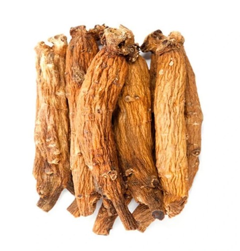 100Pcs Korean Red Ginseng 6 Year Old Everyday Extract 365 Stick + Express - Picture 4 of 12