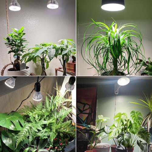 SANSI Grow Lights for Indoor Plants, Dimmable 30W= 450W Plant Lights with Remote - Bild 25 von 61