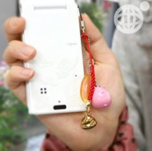 New Golden Poop!? Lucky Excrement Charm Japan - Picture 7 of 7