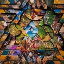 Atwood Ferguson Miguel - The Mystical Gardens Vol 1 4LP