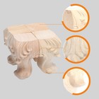  2 Pieces Couch Replacement Legs Furniture Accessories Claw Feet for
