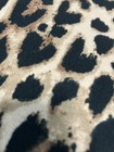 Foto 9 di 9