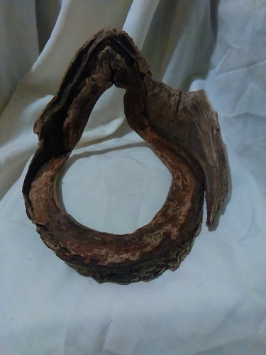 Unique Natural Driftwood Hardscape - Aquascape Decor Aquarium Crown Wood Circle - Picture 7 of 7