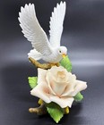 Picture 1 of 12