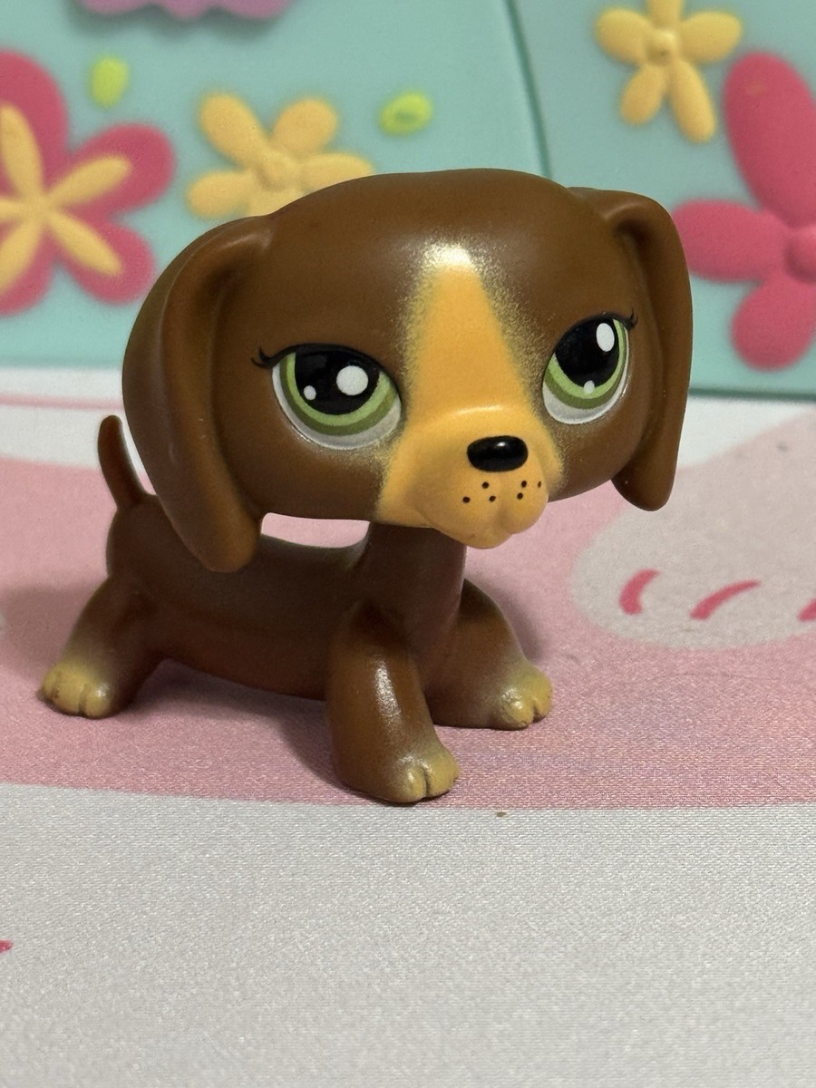 Littlest Pet Shop G7 Dachshund #172 Mystery Surprise 653569433118