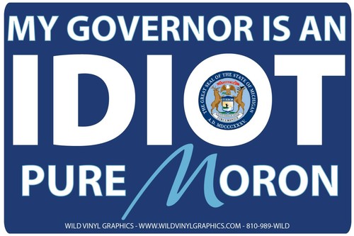 MY GOVERNOR IS AN IDIOT MICHIGAN WVPO-00578 6 X 4 POLITICAL STICKER - 第 1/1 張圖片