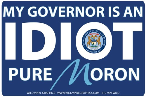 MY GOVERNOR IS AN IDIOT MICHIGAN WVPO-00578 6 X 4 POLITICAL STICKER - Picture 1 of 1