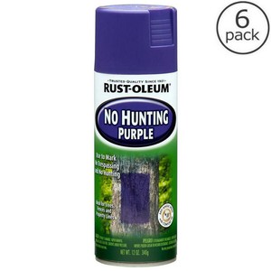 6 Pack Rust Oleum 12 Oz Purple Outdoor Spray Paint No Hunting Image Is Loading 6 Pack Rust Oleum 12 Oz Purple Outdoor