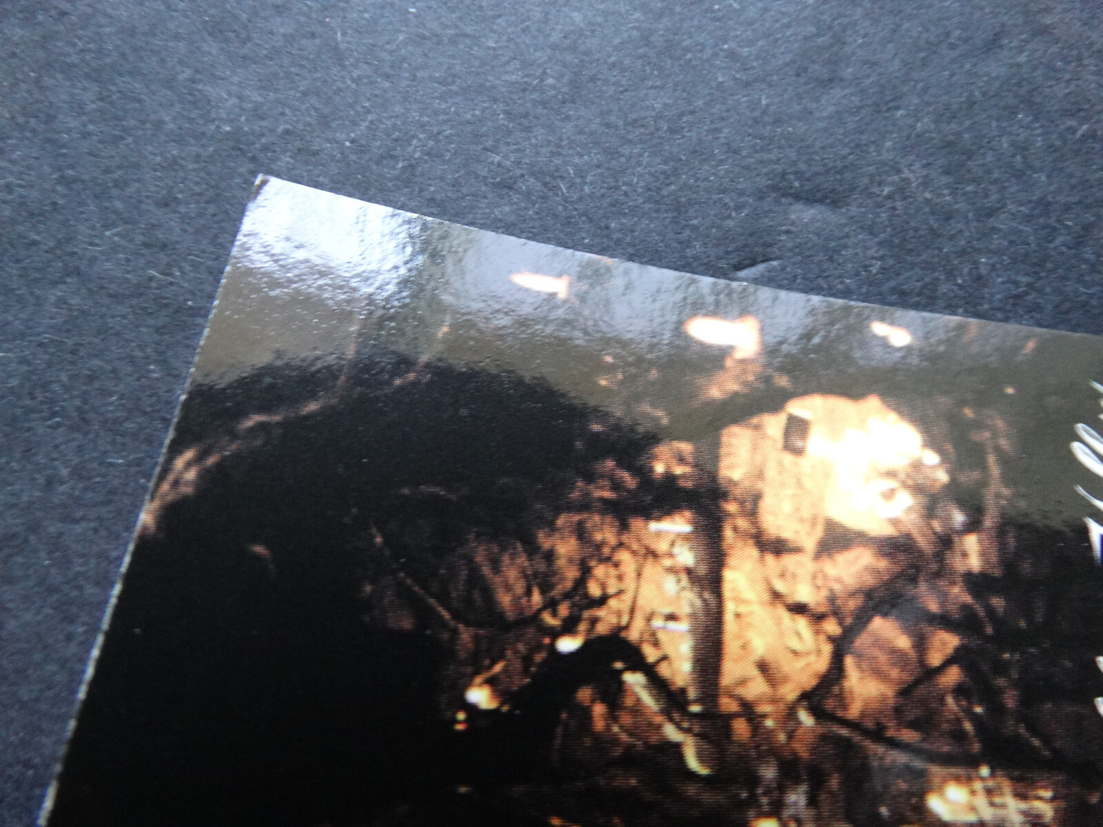 1999 Inkworks Sleepy Hollow Movie Trading Card Complete Your Set You U Pick 1-90 - Picture 94 of 108