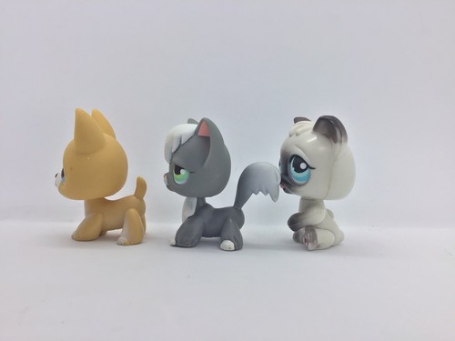 2007 LPS Biggest Littlest Pet Shop Toys R Us Exclusive Playset Pets Accessories - Picture 17 of 23
