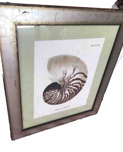 COASTAL SEASHELL Picture Framed  24” x 20” Tropical Palm Beach Home Decor - Picture 2 of 11