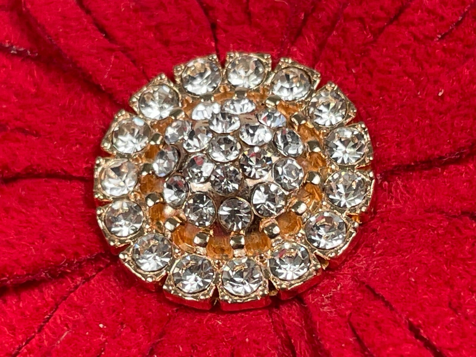 Picture 16 of 19