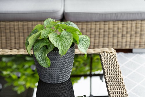 Plant Pot Cover Plastic Plant Pot Covers Without Drainage Indoor Outdoor Jersey - Picture 10 of 52