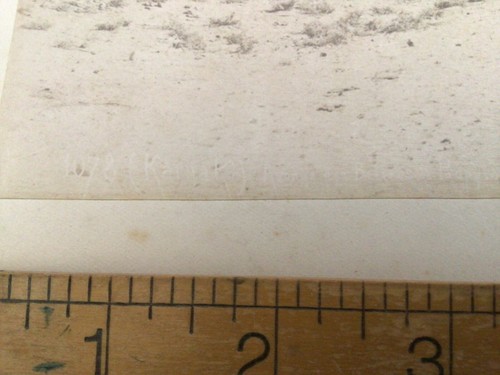 old albumen two photos back to back Egypt second one maybe of photographer - 第 11/15 張圖片