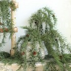 Bild 2 von 6