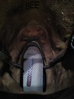 Bild 12 von 12