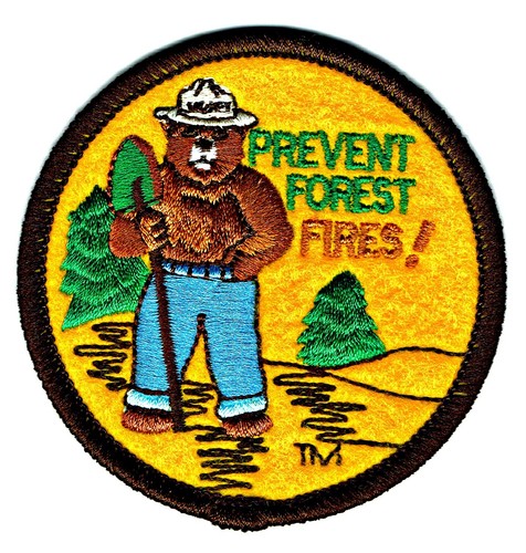 OFFICIAL SMOKEY BEAR Patch Iron-on Embroidered Gift Boy Girl Friend Teacher -NEW - Picture 1 of 2