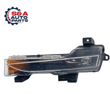 Tesla Model 3 2017-2023 Fog Light Lamp Amber 1077391-00-E OEM