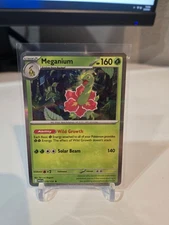 Meganium 010/132 Me01: Mega Evolution Holo (Buy 2 Get 1 Free)