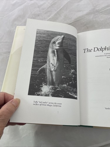 The Dolphin Doctor: A Pioneering Veterinarian Ridgway HCDJ - Picture 8 of 12