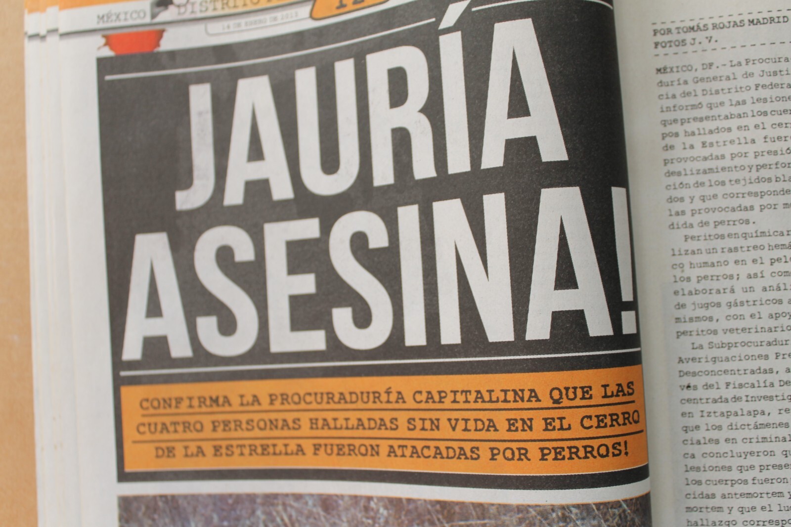 Imagen 7 de 12