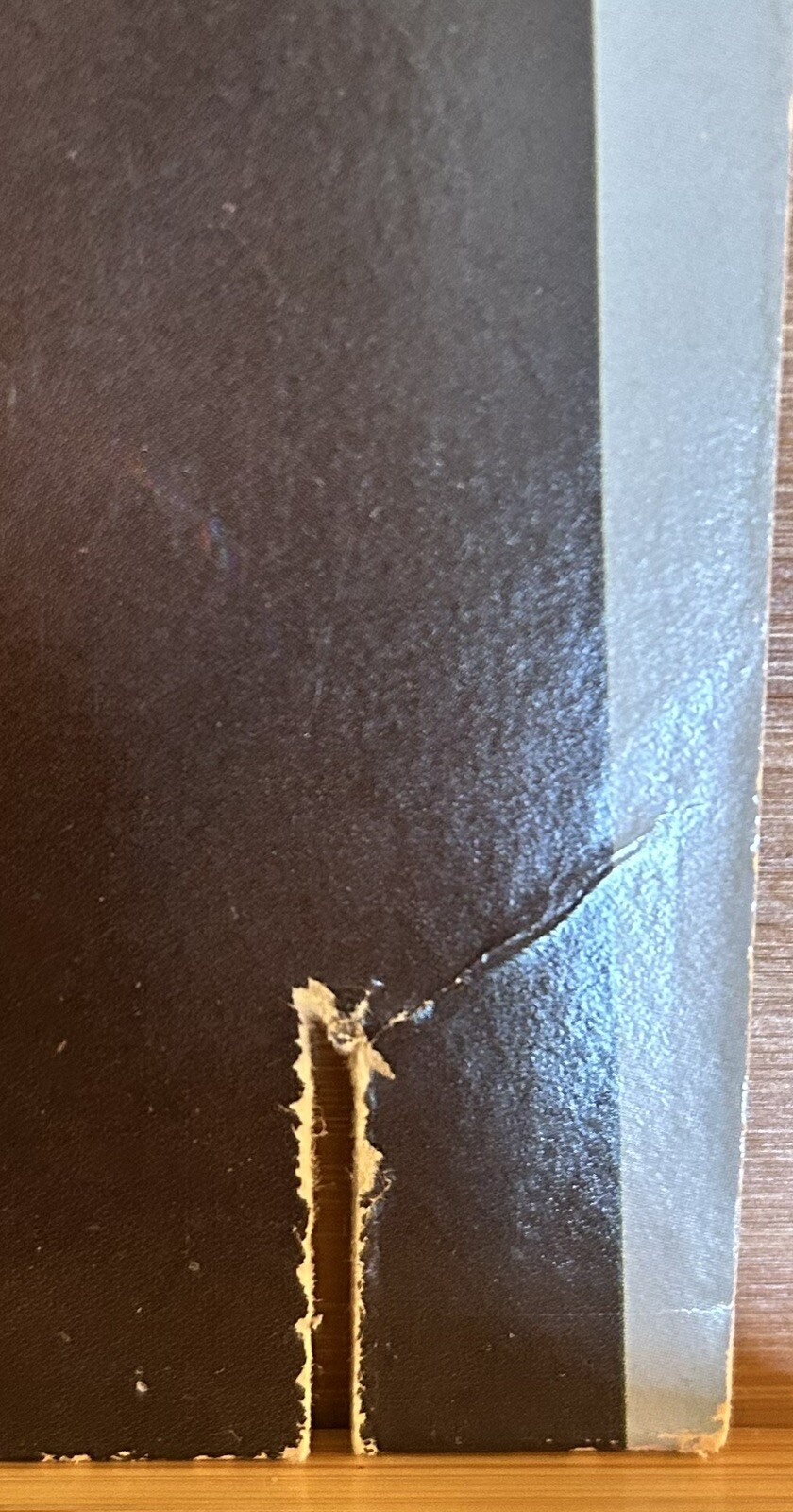 Picture 3 of 11