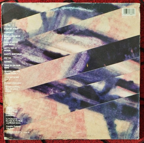 NEW KIDS ON THE BLOCK ** Step By Step ** ORIGINAL 1990 SPAIN LP - Picture 2 of 4