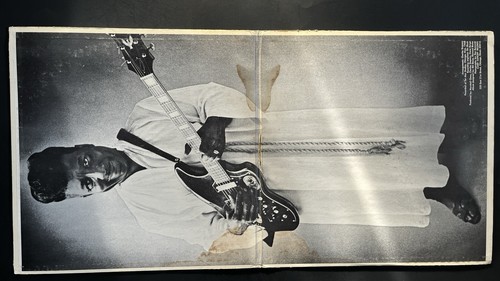 Muddy Waters~Electric Mud~Gatefold~RARE Chicago Blues~FAST SHIP OUT - Foto 3 di 3