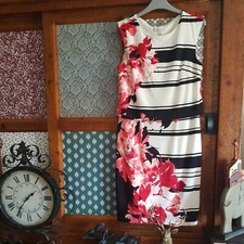 dress size 12. dorothy perkins.wedding.mum.party.cocktail. birthday.xmas.sale