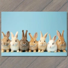 Art Print Rabbit Bunnies Posing Line Funny Hare Pure Cuteness Adorable Studio