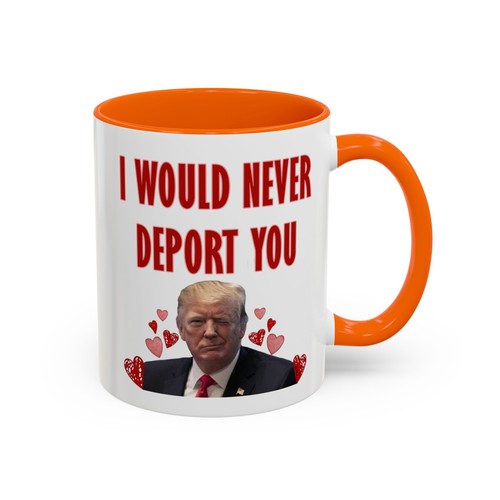 Funny Trump I Would Never Deport You Valentine's Day Gift For Him Gift For her - Picture 12 of 23