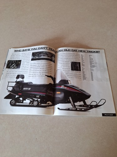 Artic Cat Schneemobil Katalog 1994: Top Zustand - Bild 11 von 19