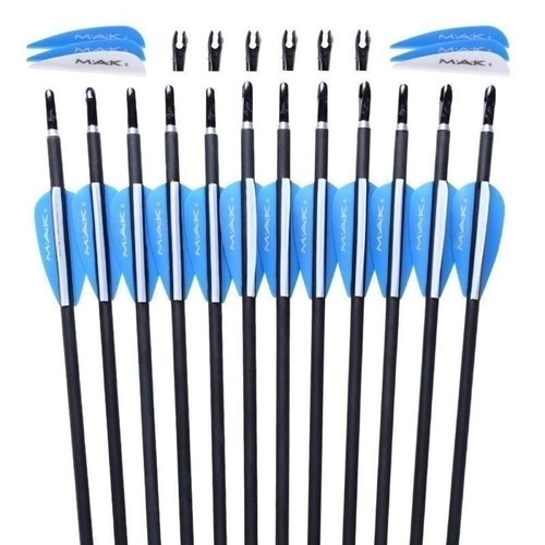 12Pcs 30" Practice Archery Carbon Arrow Sp1000 F Recurve/Compound Bow Hunting US - Picture 2 of 12