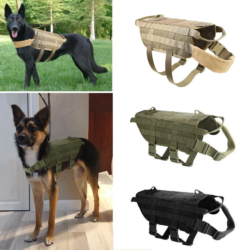 Service dog on sale accessories