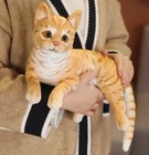 American Shorthair Cat 11 Inch Stuffed Animal Plush Toys Toddler Doll Kids Gifts