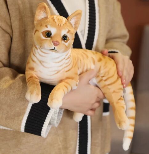 American Shorthair Cat 11 Inch Stuffed Animal Plush Toys Toddler Doll Kids Gifts - Picture 1 of 4