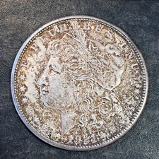 1921-S Morgan Silver Dollar - Classic Toner - High Quality Scans #Q066