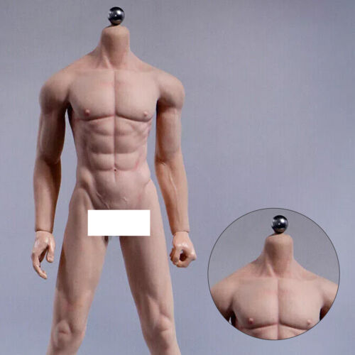 1/6 nahtlose männliche Körperpuppe männliche Figur passend für 12" Phicen Hot Toys - Bild 5 von 24