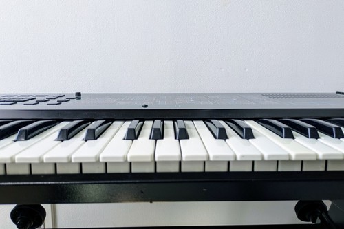 CRUMAR BIT 99 VINTAGE SYNTHESIZER — TAUNTEK FIRMWARE UPGRADE, NEW CAPS & MORE - Picture 7 of 16